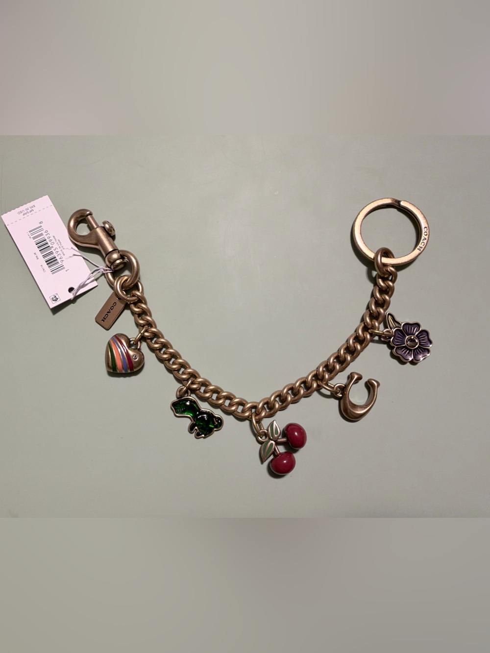 NWT Coach chain bag charm